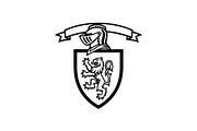 Medieval Knight Shield Vector Bundle, an Illustration by Designs_River (Thumbnail 18 of 51)