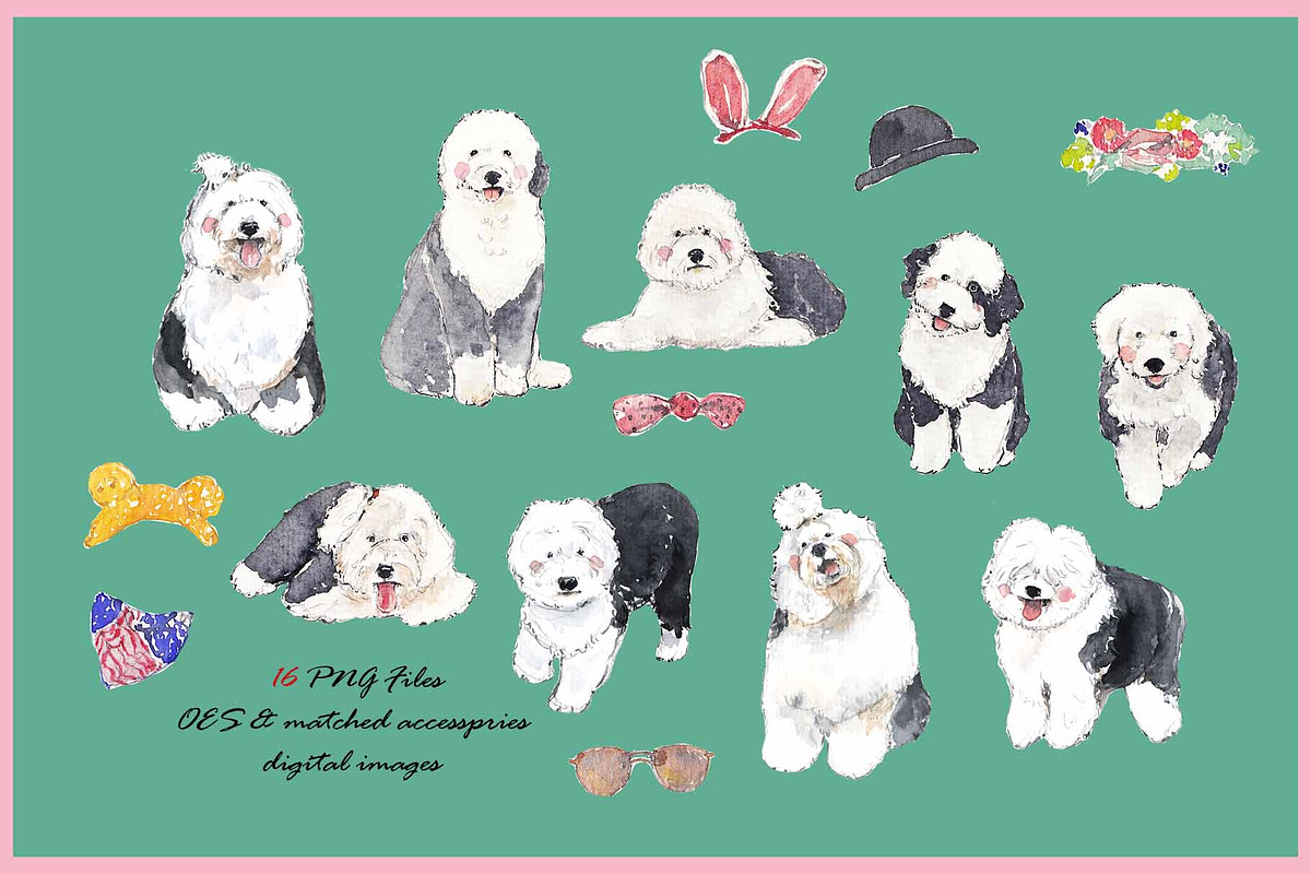 OES Clipart Digital Paper, an Animal Illustration by VianneArt (Photo 4 of 7)