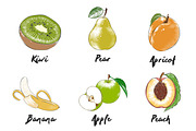 Set of 42 organic food sketches, a Food Illustration by Akimo Mia (Thumbnail 6 of 8)