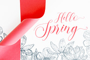 Belarisha Script, a Script Font by Bosstype Studio (Thumbnail 2 of 7)