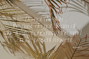 Serenity Moment, a Serif Font by Muksal Creative (Thumbnail 7 of 10)