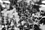 Mild Life Typeface, a Sans Serif Font by The Branded Quotes (Thumbnail 6 of 7)