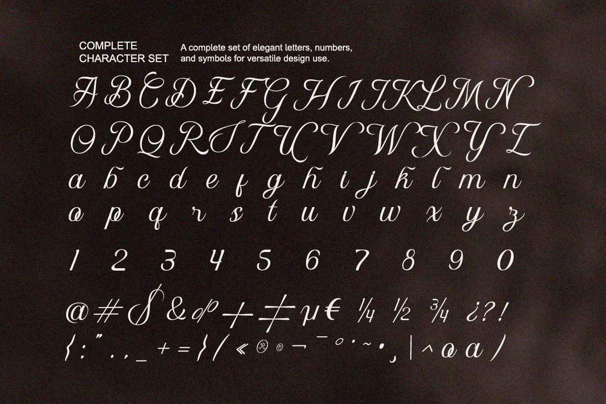 Denamola - Elegant Script Font, a Serif Font by Qweera Studio (Photo 12 of 12)
