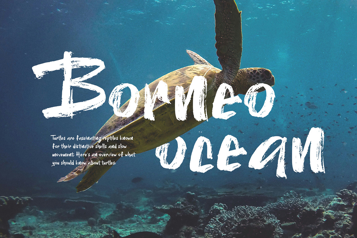Hogan Brush - Brush Font Typeface, a Handwritten Font by Aksapix Studio (Photo 6 of 7)