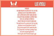 Different Logic font, a Sans Serif Font by weknow (Thumbnail 6 of 8)