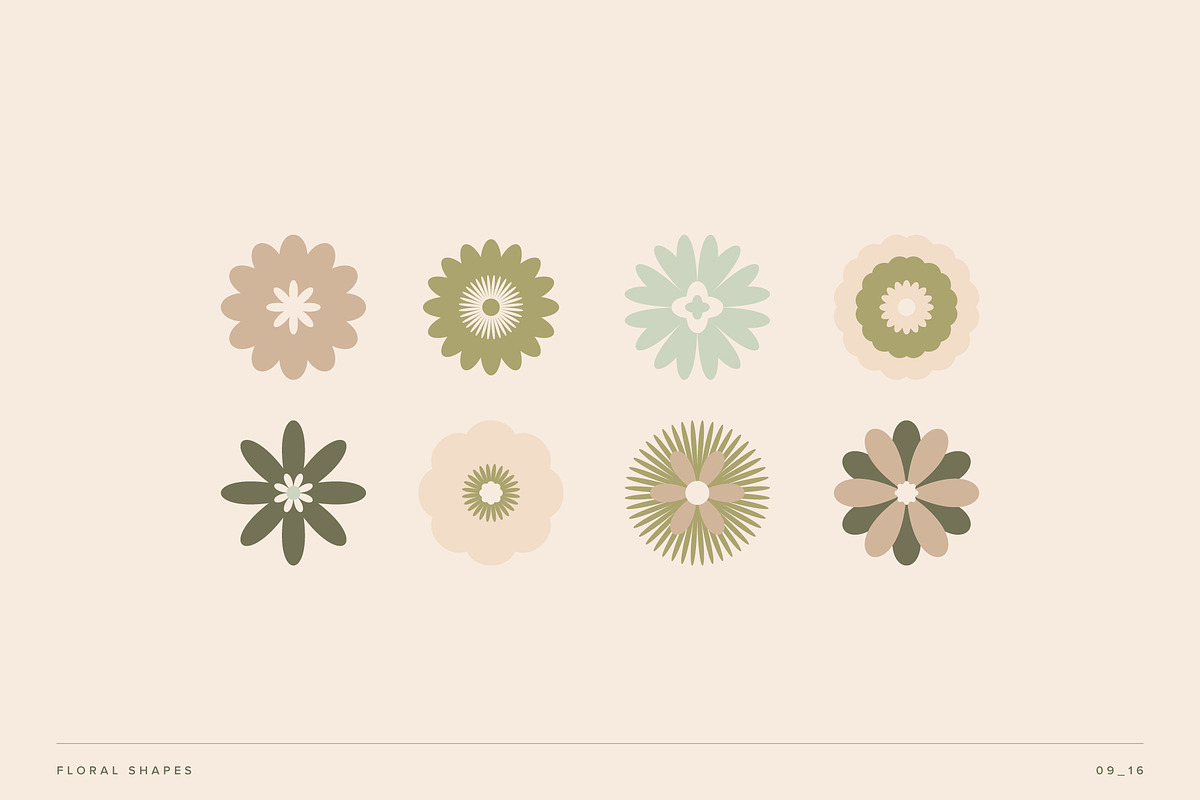 Floral Shapes & Seamless Patterns, an Object Graphic by studiocolectivo (Photo 4 of 12)