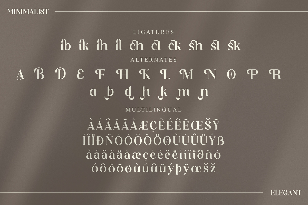 Dishta Bikailen Modern Serif Font, a Serif Font by Storytype Studio (Photo 14 of 15)
