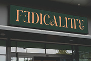 Graces || Modern Classy Serif Font, a Serif Font by Ermedia Studio (Thumbnail 8 of 10)