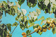 Postcard Print Photo Effect, a Texture Graphic by Freezerondigital (Thumbnail 11 of 18)