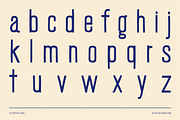 Letterpress Sans, a Sans Serif Font by Ulysses Design Co (Thumbnail 18 of 20)