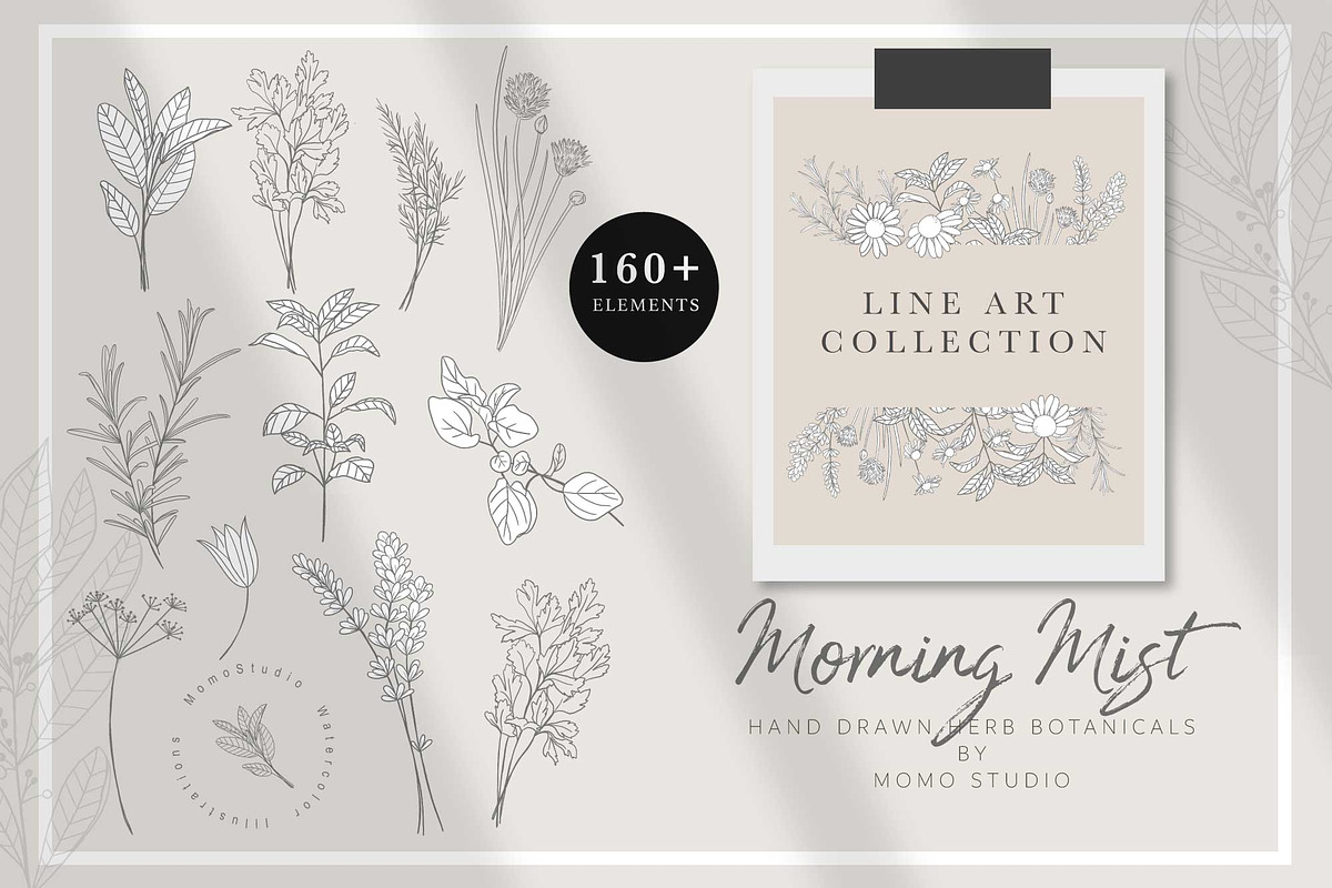 Morning Mist - Herb Collection, a Decorative Illustration by Momo Studio (Photo 6 of 18)