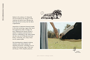 Millie June: A Hand-Drawn Font, a Handwritten Font by Pace Creative Design (Thumbnail 6 of 11)