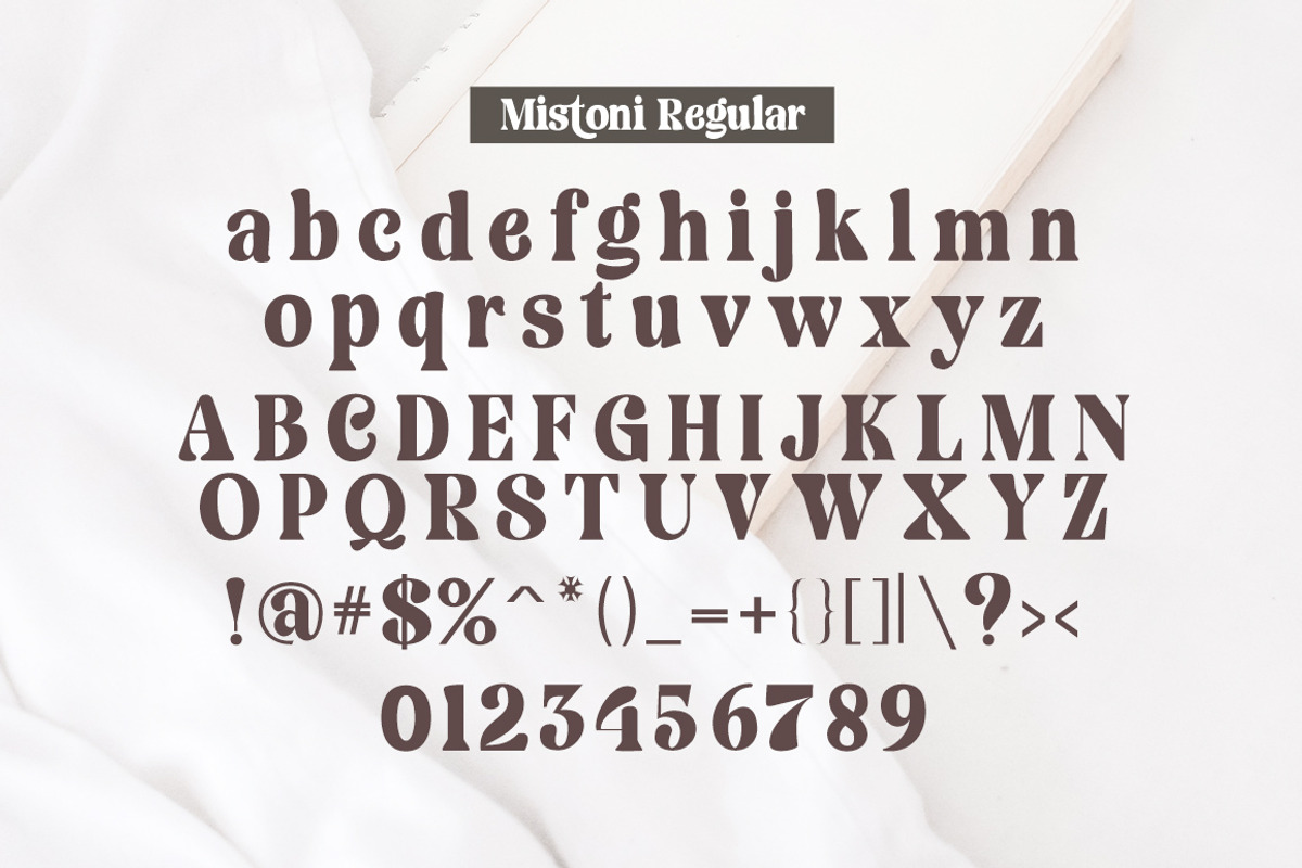 Mistoni, a Serif Font by Gatype (Photo 9 of 10)