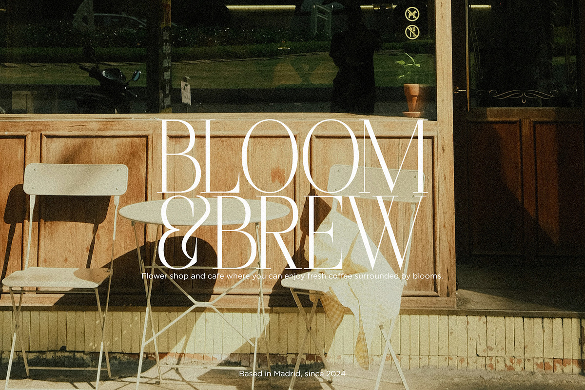 SUNLINE - Condensed & Elegant Serif, a Serif Font by Misha Sova (Photo 5 of 8)