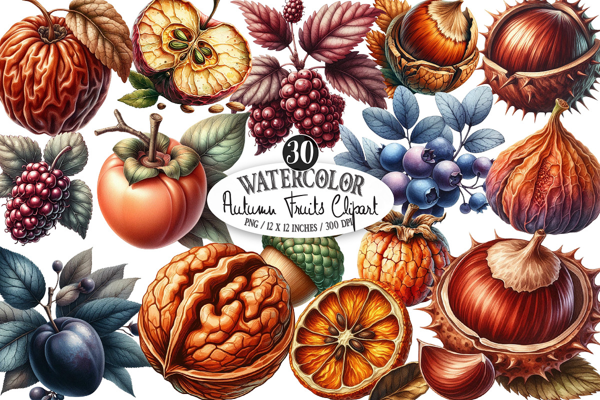 Watercolor Autumn Fruits Clipart, an Illustration by Designking (Photo 1 of 4)