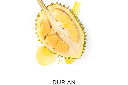Durian on watercolour background