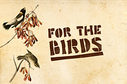 Poozer, a Font by Cool Fonts (Thumbnail 6 of 7)
