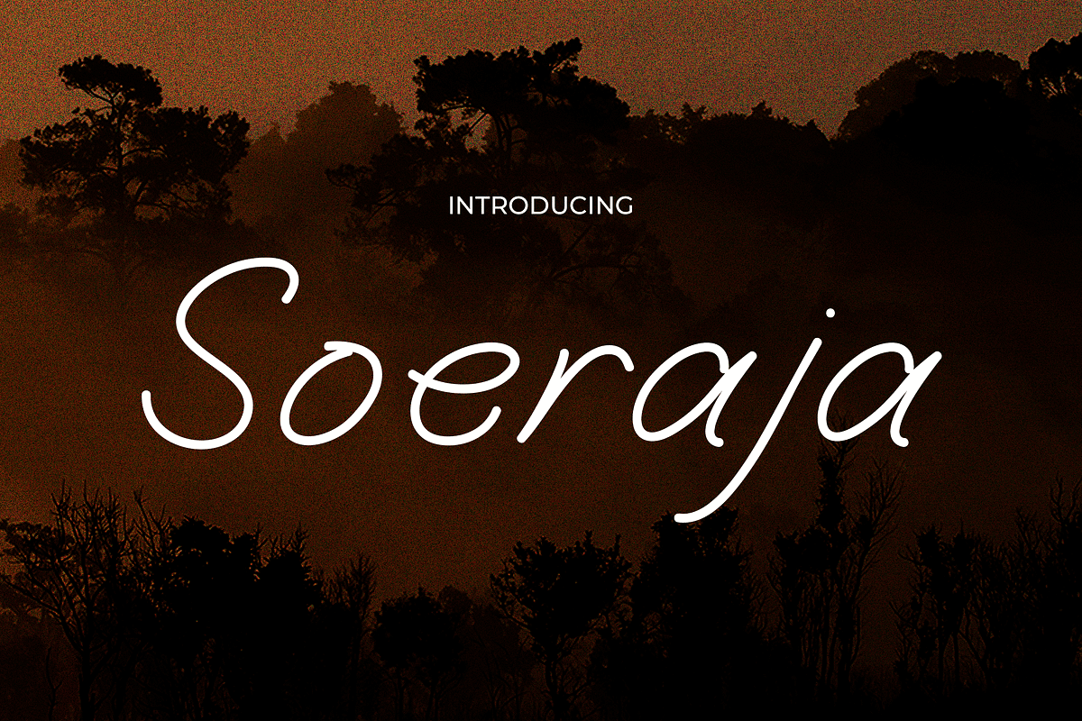 Soeraja, a Sans Serif Font by Pinisi ART (Photo 1 of 10)