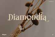 Shioma, a Serif Font by Aluyeah Studio (Thumbnail 10 of 15)