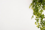 Modern Mockup, Clean Mockups, a Background Photo by BlueBooks (Thumbnail 4 of 14)