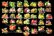 Watercolor Summer Hawaiian Fruits, an Object Graphic by Negarin Digital Art (Thumbnail 4 of 9)