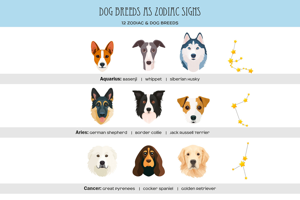 Zodiac signs and dog breeds clipart, an Animal Illustration by Art and Funny (Photo 2 of 10)