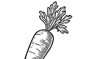 Vegetable Sketch Collection, an Object Graphic by nikagraphic (Thumbnail 2 of 3)