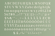 TT Vermolin — Modern Classy Serif, a Serif Font by truetype (Thumbnail 2 of 15)