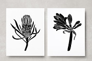 Vintage Botanica II, an Object Graphic by Mii Lab (Thumbnail 18 of 21)