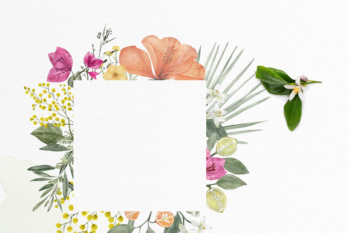 pressed-delicate-wild-meadow, a Decorative Illustration by beehouse studio (Photo 5 of 12)