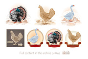 Farm birds set, an Animal Illustration by Countryside life (Thumbnail 12 of 12)