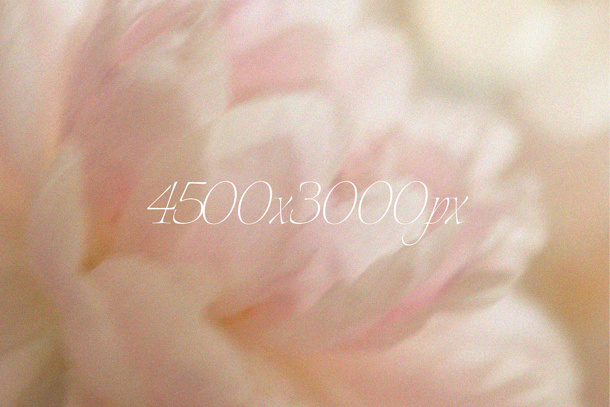 Soft Blurred Floral Backgrounds, a Background Graphic by margotikaj (Photo 3 of 5)
