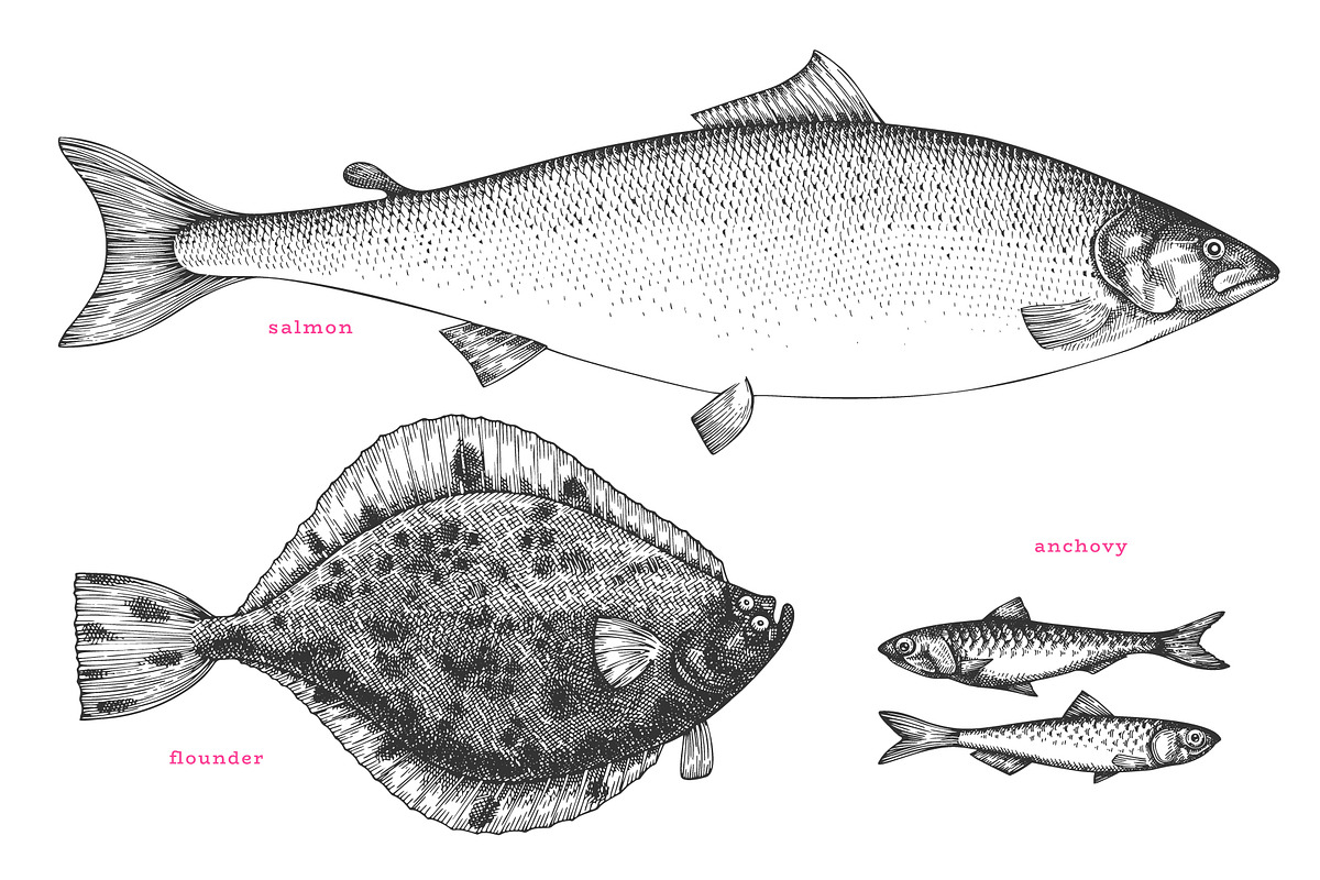 Fish#2 Vector Collection, a Food Illustration by Lubov Illustrations Shop (Photo 2 of 12)