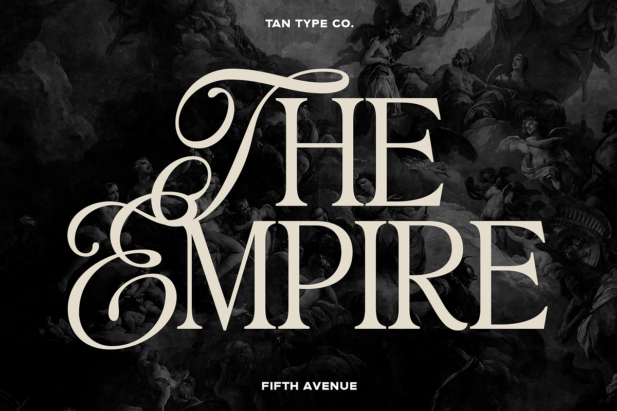 TAN - FIFTH AVENUE, a Serif Font by TanType (Photo 11 of 11)