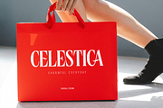 Merisca - Modern Condensed Serif, a Serif Font by Pixesia Studio (Thumbnail 9 of 13)