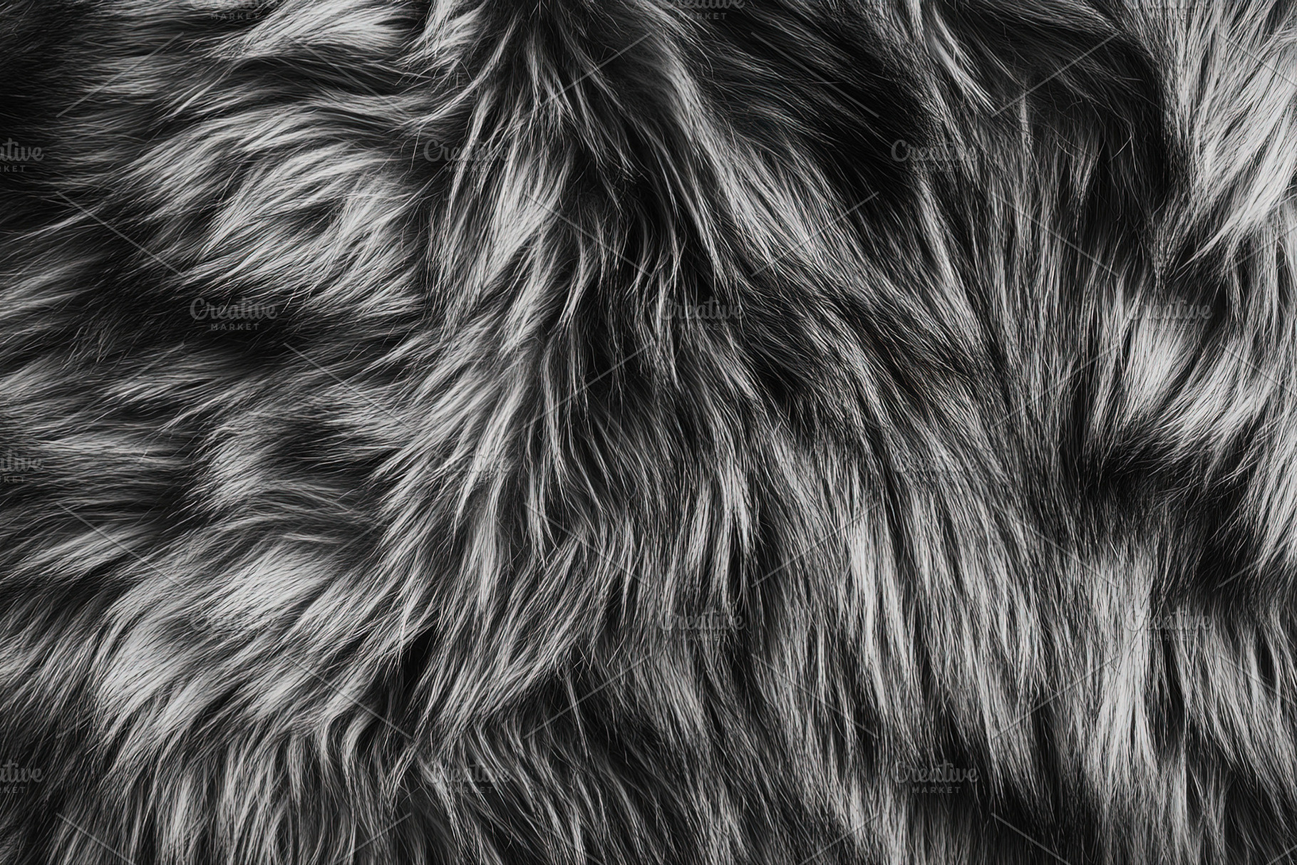 Black and Gray Fur Texture Close-Up, a Background Photo by Ales Munt