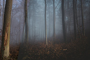 Moody Lightroom Presets - Soft Light, an Action Add-On by PhotoMarket (Thumbnail 20 of 33)