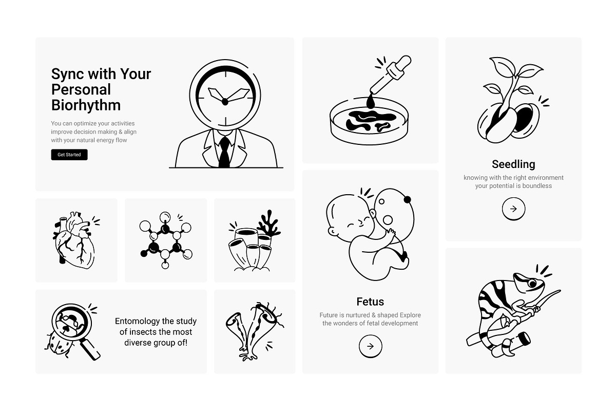 Biology Doodles Icons Set, an Outline Icon by Prosymbols (Photo 4 of 6)