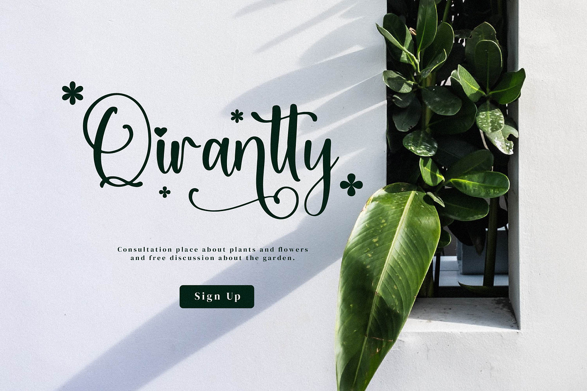 Qianetta, a Script Font by Integritype Studio (Photo 4 of 15)
