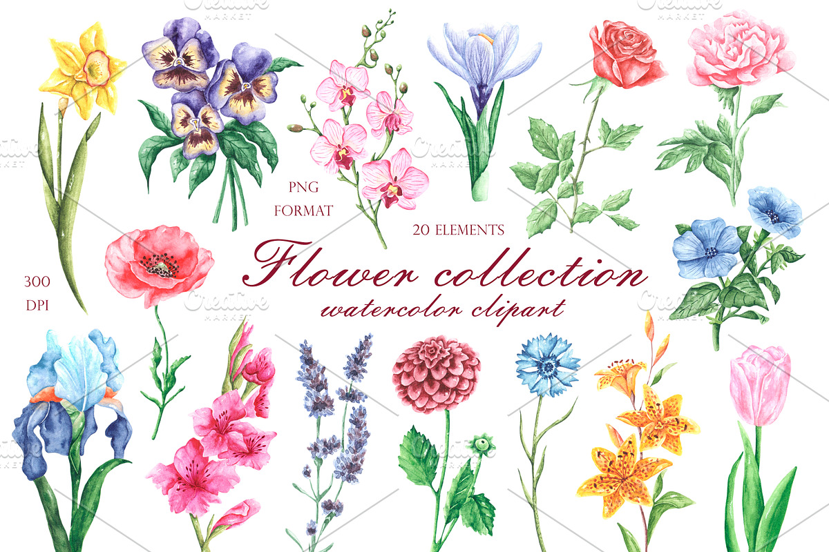 Blooming flowers watercolor clipart., an Illustration by SabinaWatercolorArt (Photo 1 of 8)