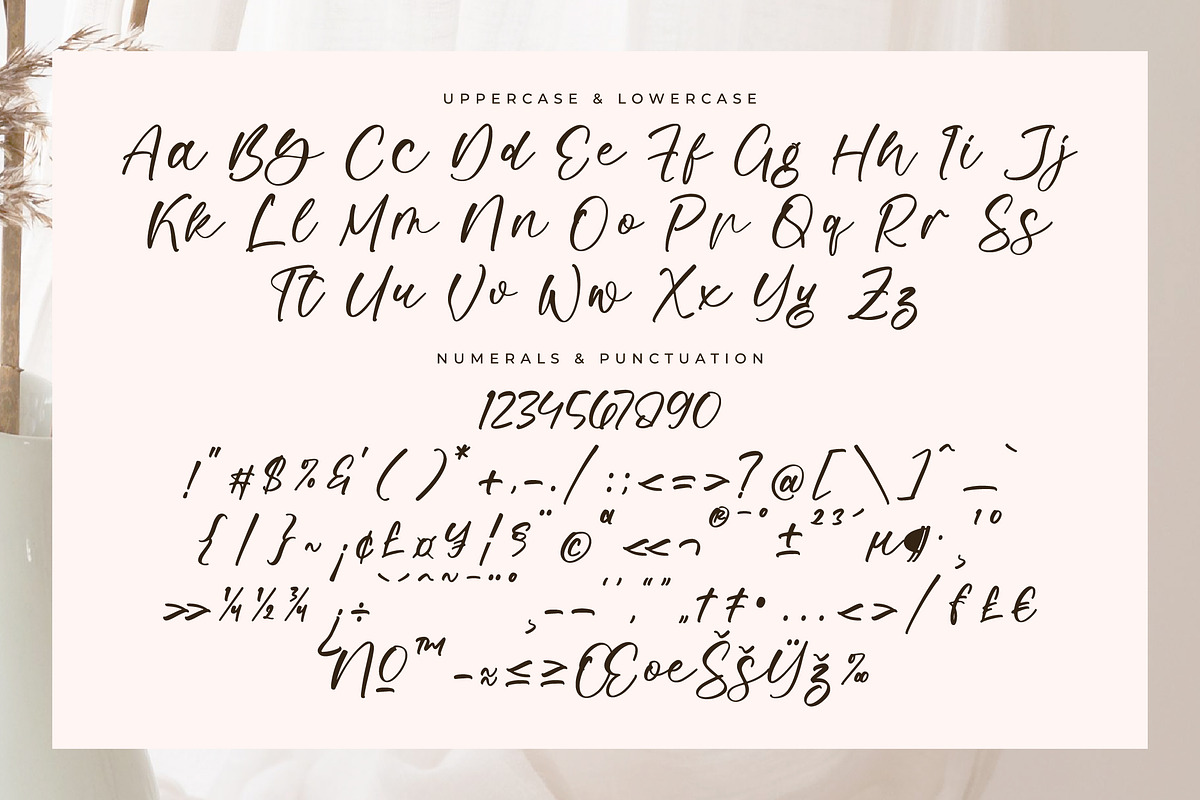 Moltaris Rabbit, a Script Font by Integritype Studio (Photo 13 of 15)