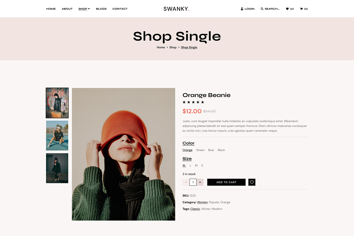 Swanky Fashion Store Figma Template, a Websites & App Template by TemplatesJungle (Photo 11 of 23)