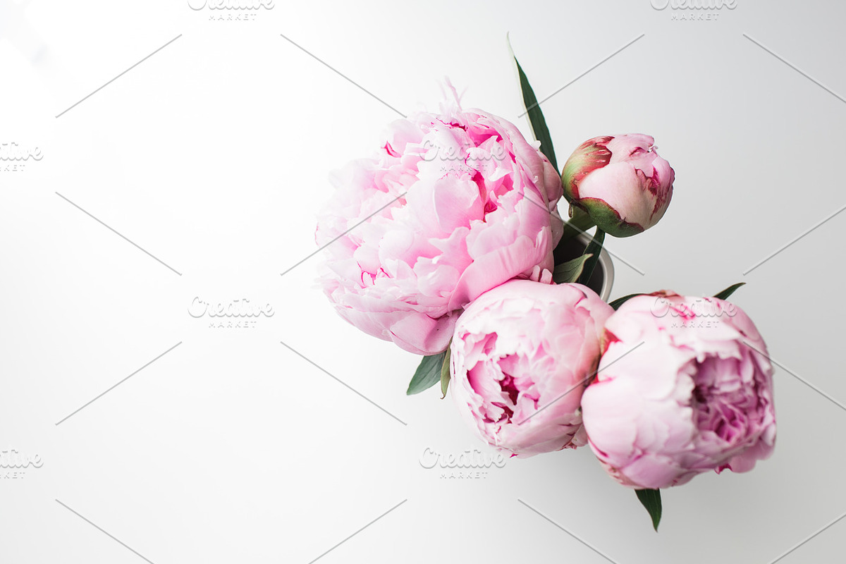 Pink Peony Bundle + 3 Bonus Images, a Nature Photo by Light & Grace (Photo 4 of 8)