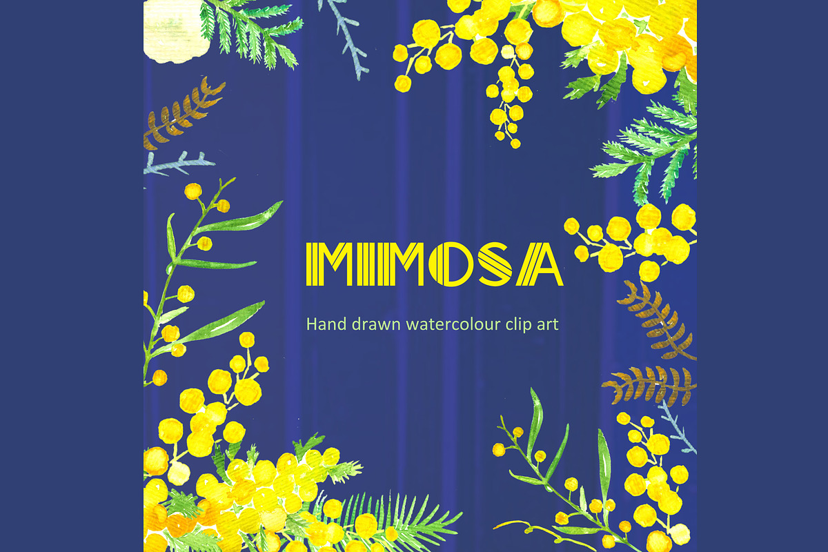 Mimosa  Watercolor Clip Art, an Illustration by LABFcreations (Photo 1 of 4)