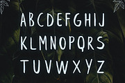 Leafy Brush Font, a Script Font by Wild Ones (Thumbnail 4 of 7)