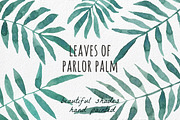Tropical Clipart - Hand painted, a Decorative Illustration by MaraquelaStudio (Thumbnail 4 of 8)