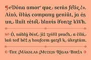 Allust Italic Font, a Serif Font by Halfmoon Type (Thumbnail 5 of 11)
