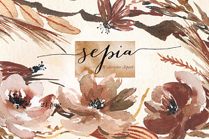 Sepia Flowers. Watercolor Clipart