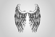 15 Wing Illustrations (Vector), an Animal Illustration by BIOWORKZ (Thumbnail 4 of 5)
