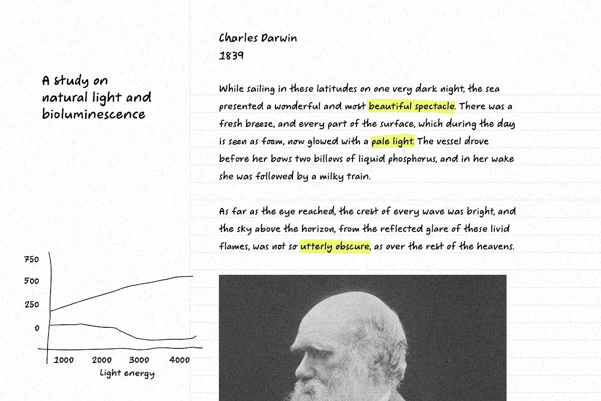 Naturalist Simple Handwriting Font, a Handwritten Font by TYPEHEIST (Photo 4 of 12)